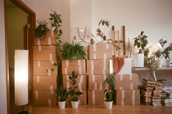 Estate cleanout packing and sorting boxes, Quad Cities